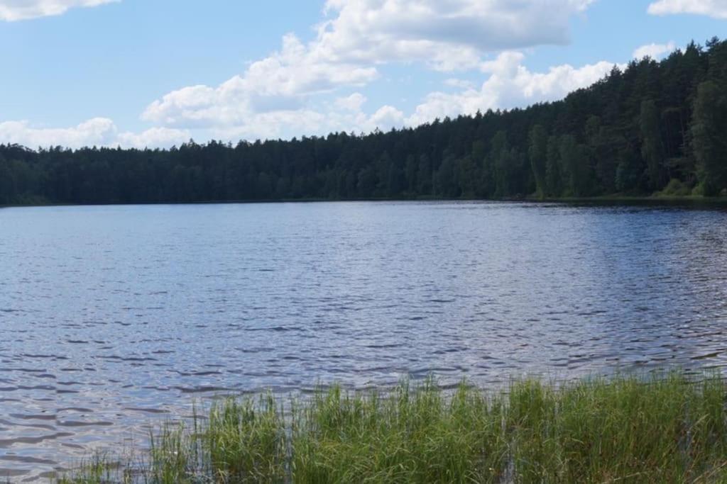 Domek Nad Jeziorem Kaszuby Max 6 Os Bieszkowice 外观 照片
